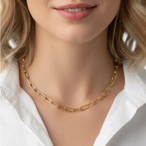 NWT Trending Paperclip 14k Gold Chain Necklace